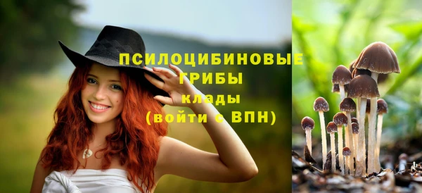 тгк Покровск