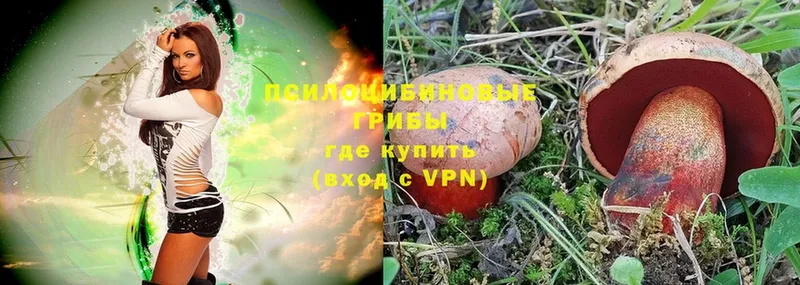 Галлюциногенные грибы MAGIC MUSHROOMS  Котельниково 