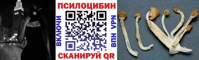 shop Telegram  Котельниково  Галлюциногенные грибы Psilocybine cubensis 